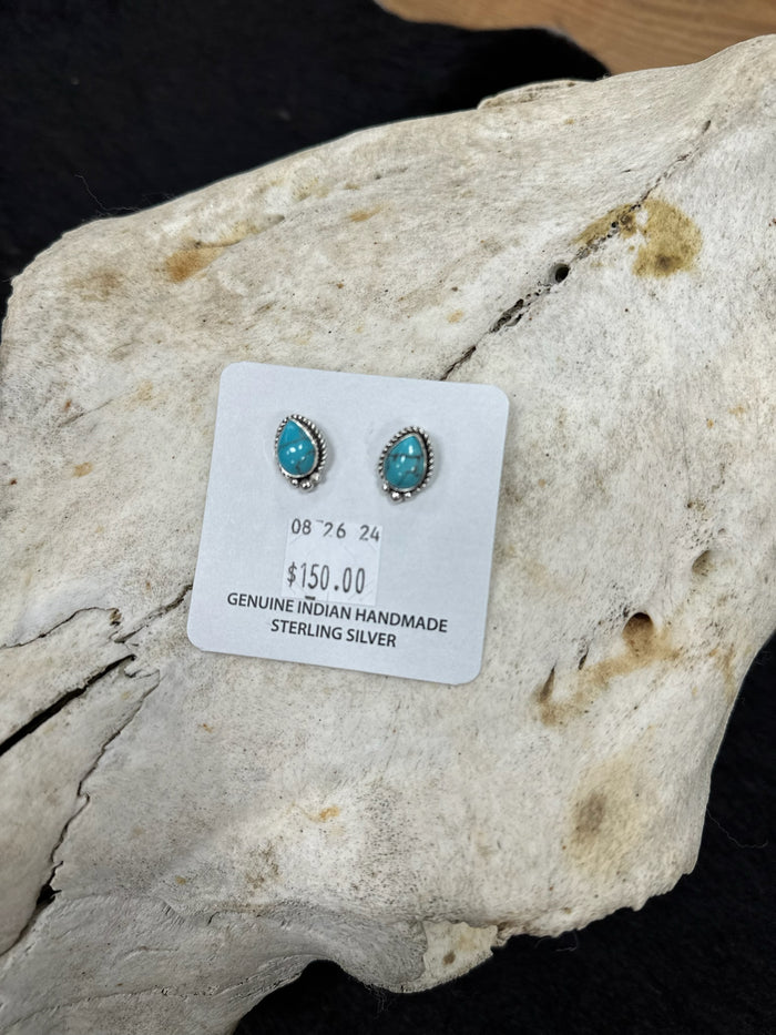 Silver and Turquoise Harmony Earrings