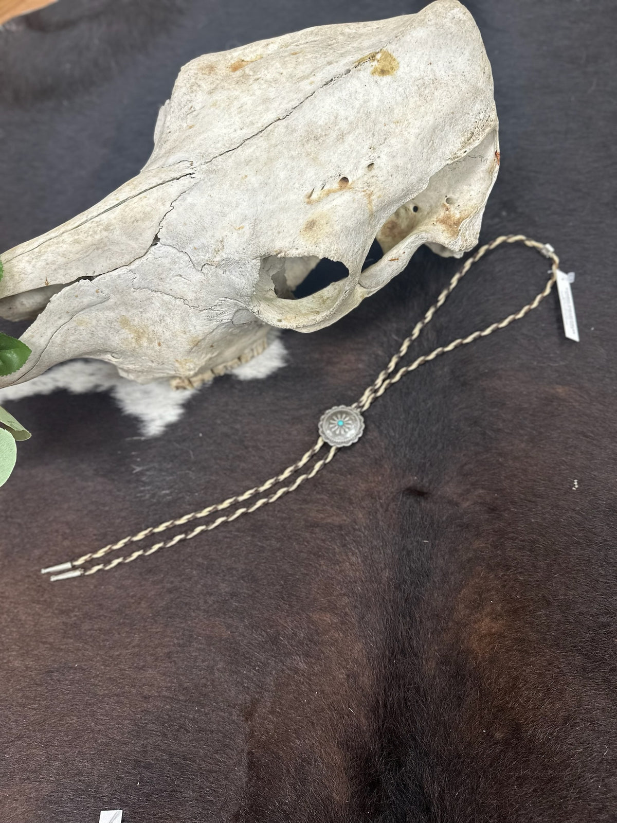 Bolo Ties by Cowboy Collectibles