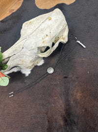 Bolo Ties by Cowboy Collectibles