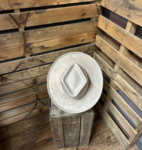 Modern Cactus  Pencil Curl Stiff Brim Hat