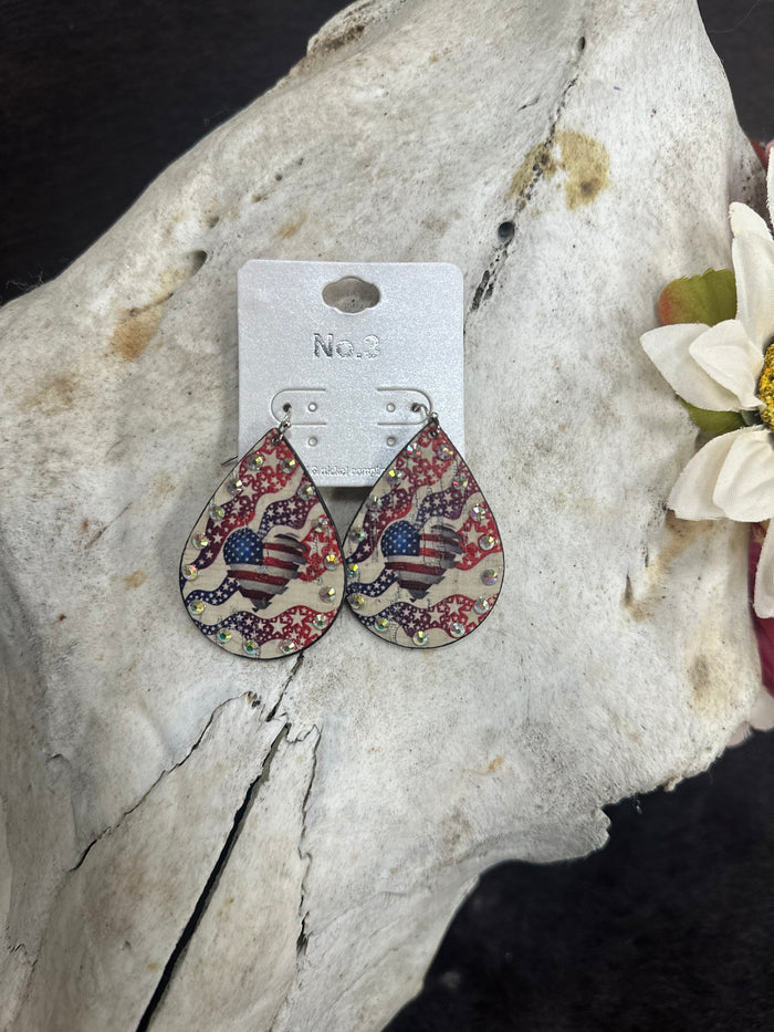 Rhinestone Western Teardrop Earrings