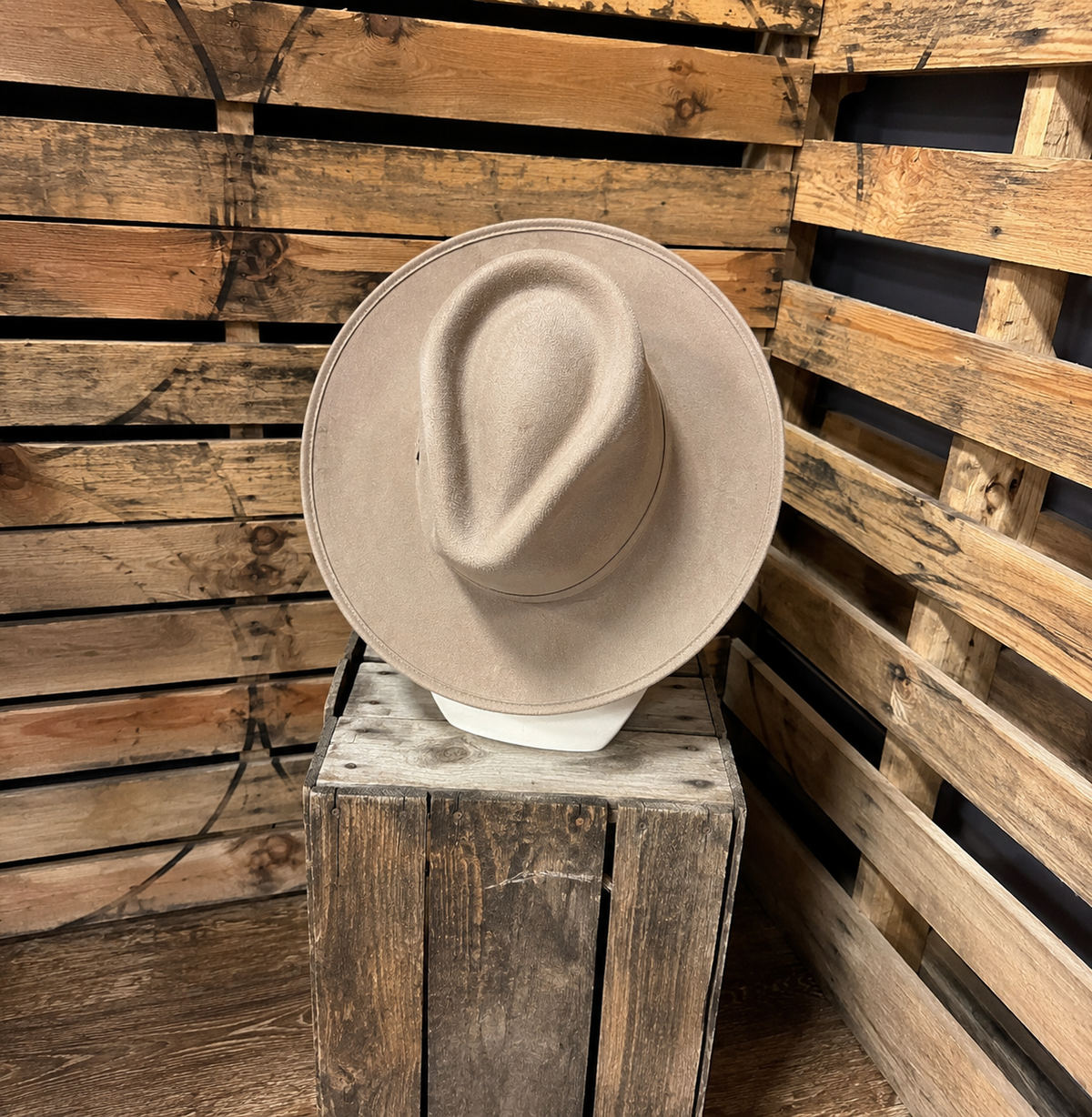 Modern Cactus  Vegan Suede Rancher Hat- Large